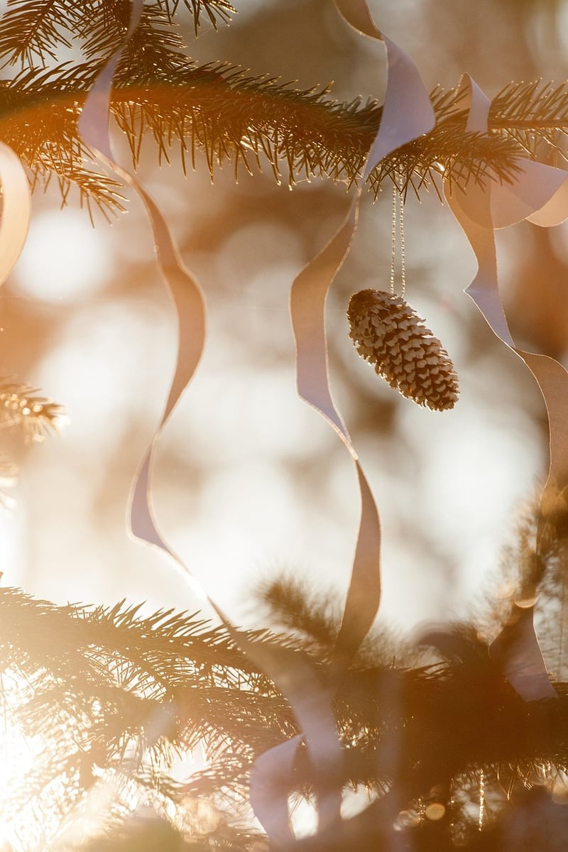 Pine Cones